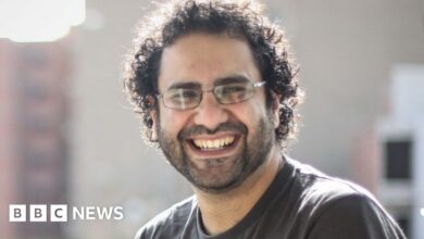 Alaa Abdel Fattah: Family says jailed British-Egyptian activist is still alive