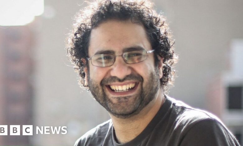 Alaa Abdel Fattah: Family says jailed British-Egyptian activist is still alive