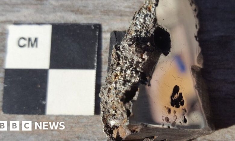 Somali meteorite: Joy as scientists find two new minerals