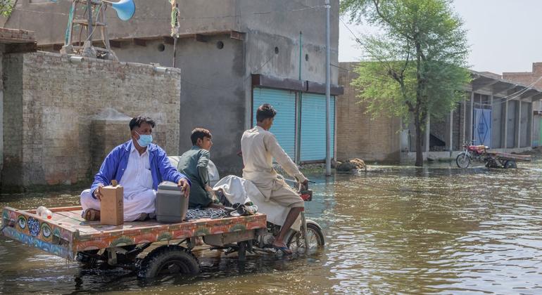 WHO warns of increasing public health risk in flood-affected Pakistan.