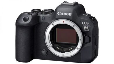 Canon launches EOS R6 Mark II