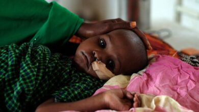 Humanitarians call for more support to stop famine in Horn of Africa |
