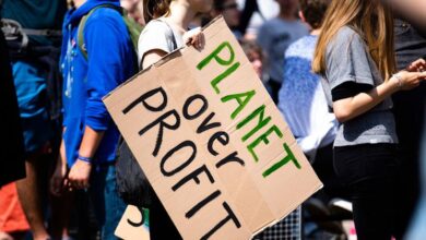 COP27: 'No tolerance for greenwashing', says Guterres as new report breaks empty net zero pledges |