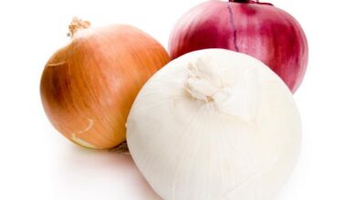 White Onion vs Yellow Onion |  Cooking school