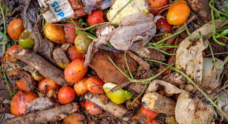 Sustainable food cold chains reduce waste, fight climate change: UN report |