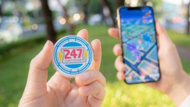 This 'Auto-Catcher' Pokémon GO can catch, battle and raid for 5 consecutive days, developer says