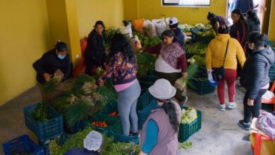Food crisis in Peru grows amid soaring prices and poverty: FAO |