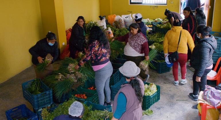 Food crisis in Peru grows amid soaring prices and poverty: FAO |