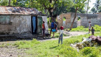 Person One: Saving Lives and Stopping the Spread of Cholera in Haiti |