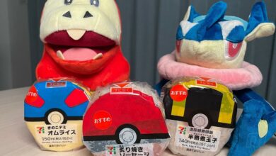 Poké Ball Onigiri: Review - Which Poké Ball is the Best?