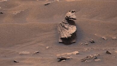 Bizarre!  Duck!  On Mars?  Look at what NASA Curiosity Rover just took