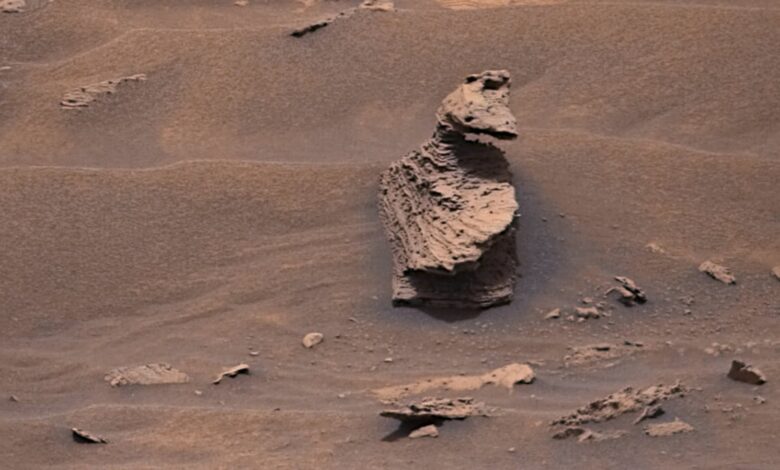 Bizarre!  Duck!  On Mars?  Look at what NASA Curiosity Rover just took