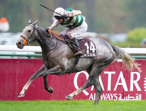 Arc Heroine Alpinista on the field for Japan Cup