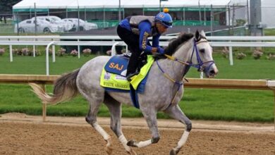 White Abarrio Breezes, Targeted for Cigar Mile