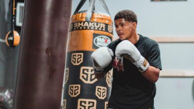 Shakur Stevenson tears up Isaac Cruz and William Zepeda during blistering live stream