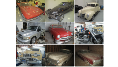 Florida man's eccentric car collection goes up for auction