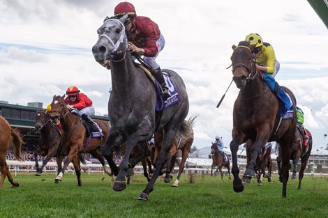 Caravel enters the race in 2023, Royal Ascot begins to be planned