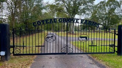 Twin Colts Still a Blessing for Coteau Grove