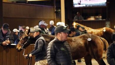 Weanling Colts Top 7th Day at Keeneland November Promotion
