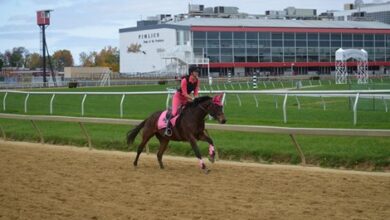 Canter for a Cause raises over $20,000 for TAA