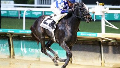 Trademark Splashes Home in Commonwealth Turf Stakes