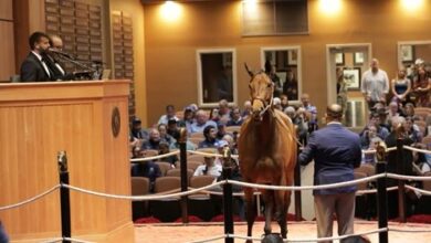 Watch Shed mosthedevil Bringing in $5 Million at Fasig-Tipton