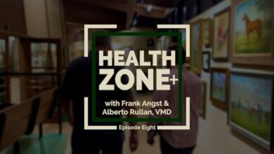 HealthZone+ Episode 8: Treatment options for lameness