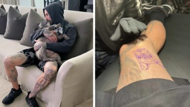 Travis Barker Honors Dog That Just Died In The Most Precious Way