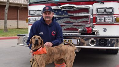 Texas Heroic Hound wins ASPCA 2022 Dog of the Year