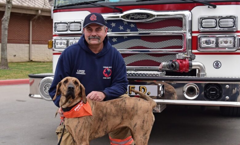 Texas Heroic Hound wins ASPCA 2022 Dog of the Year