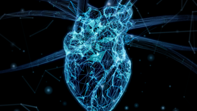 NTT, Harvard announce digital twin partnership to design hearts