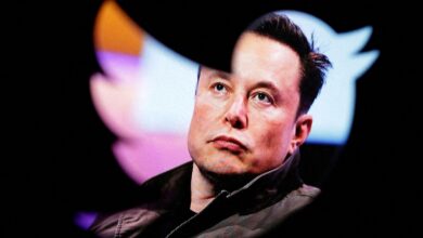 Will Elon Musk start charging verification fees on Twitter from next week?