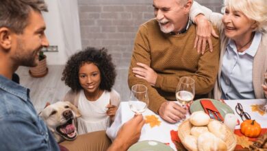 Thanksgiving Dog Food: Which is Safe?  - Dogster