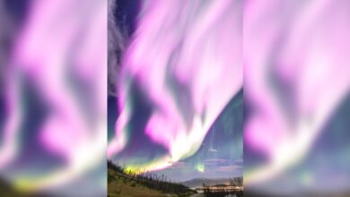 Solar Storms Piercing Earth's Magnetic Field!  Rare pink aurora in the sky