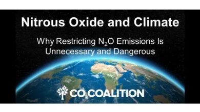 Nitrous Oxide and Climate - Rise for that?