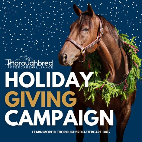 TAA launches holiday gift giving campaign