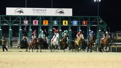 The live race begins November 30 at Turfway Park