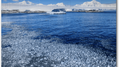Sea Ice Mysteries – Watts Up With That?