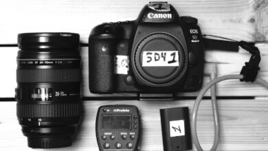 What Cameras and Lenses Do I Use for Professional Photography?