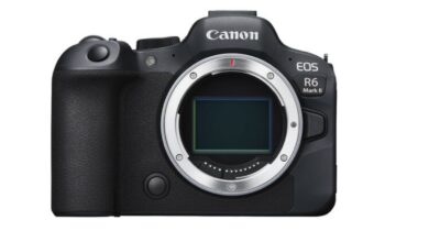 New Canon EOS R6 Mark II: Are These Upgrades Worth It?