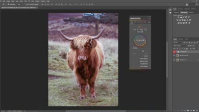 Color grading in Photoshop is possible for everyone: We value color infinitely