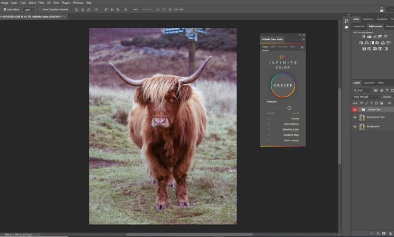 Color grading in Photoshop is possible for everyone: We value color infinitely