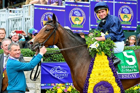 Tuesday Wins Breeders' Cup 'Filly & Mare Turf