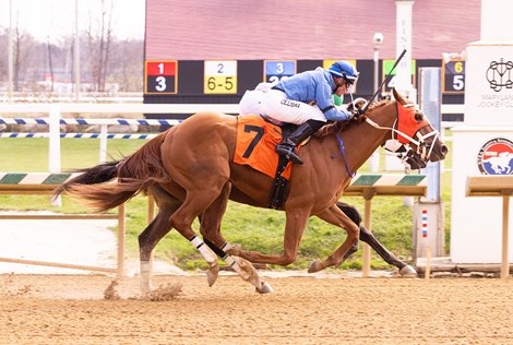 Ride the Rapids First Winner for Long River