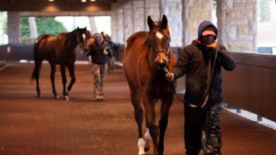 Keeneland adds 13 items to racehorse sale