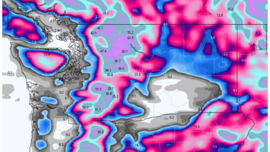 The model's forecast is for record cold and snow.  Could it really be true?