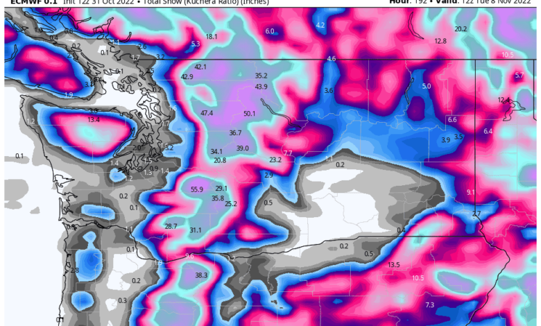 The model's forecast is for record cold and snow.  Could it really be true?