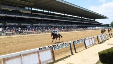 New Supporters Join the Raise Fundraising Boost Belmont Park Upgrade