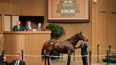Buckland sells My Songs for $700K at Keeneland