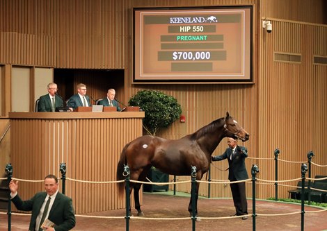 Buckland sells My Songs for $700K at Keeneland